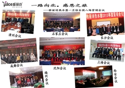 雅麗詩(shī)：《威雅夢(mèng)-我的奮斗夢(mèng)》——熱水器會(huì)議營(yíng)銷