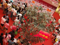 漢諾威電器：中山直營(yíng)店周年慶大型促銷活動(dòng)